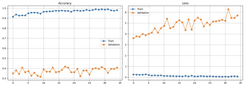 Plastic Passport – screenshot 1