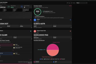 ChainLink Portfolio - Polkadot Cross-Chain Activity Tracker