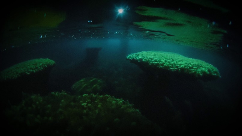 Aquatic World – screenshot 3