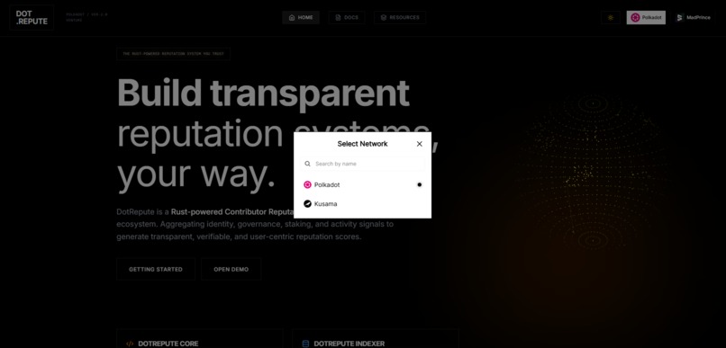 DotRepute – screenshot 4