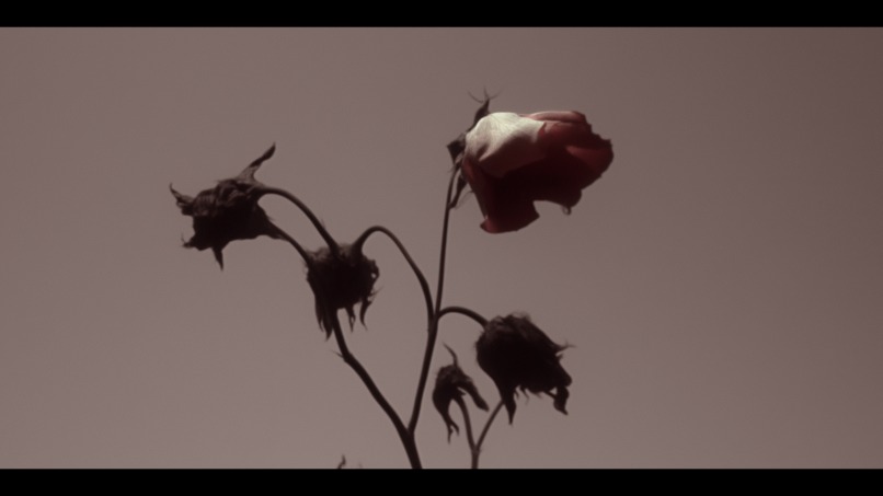Feast – screenshot 9