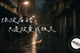 You Didn’t Love Me Long Enough — AI Micro-MV