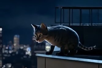 Yeetcat