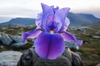 the flower heads