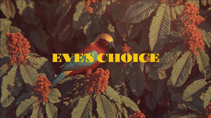 EVE'S CHOICE – screenshot 1