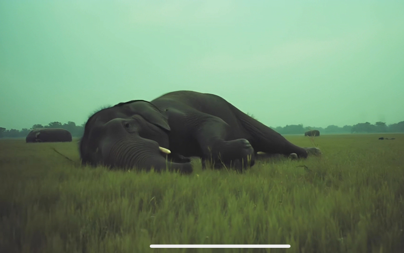 Summer Dream of the Giants – screenshot 10