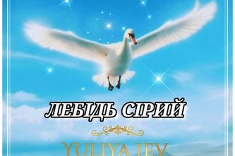 "ЛЕБІДЬ СІРИЙ"
