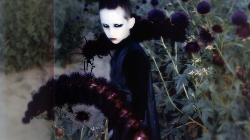 The Caterpillar – screenshot 2