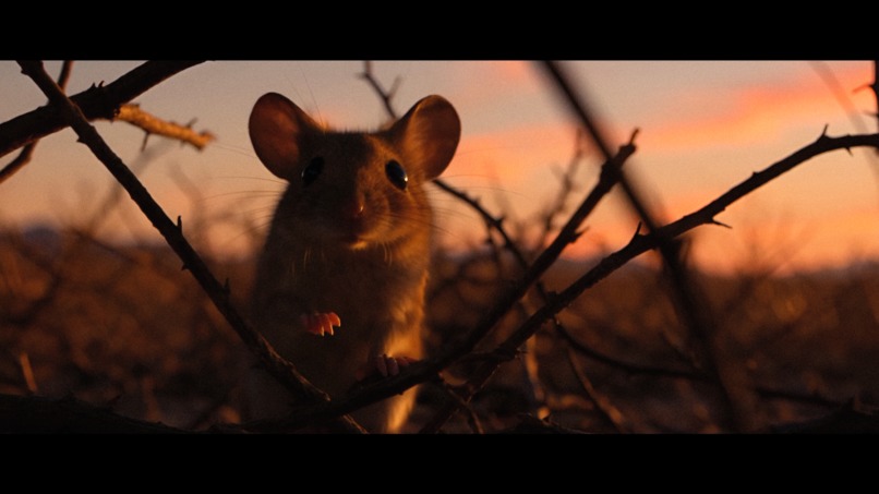 Broken Arrow – screenshot 3