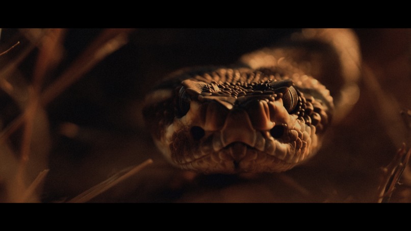 Broken Arrow – screenshot 4