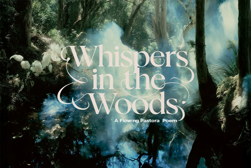 Whispers in the Woods – screenshot 1