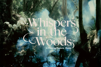 Whispers in the Woods