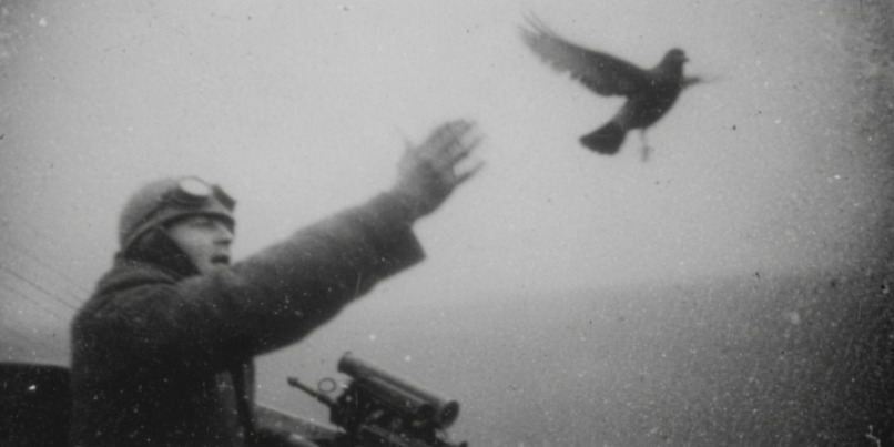 Messenger, homeward – screenshot 1