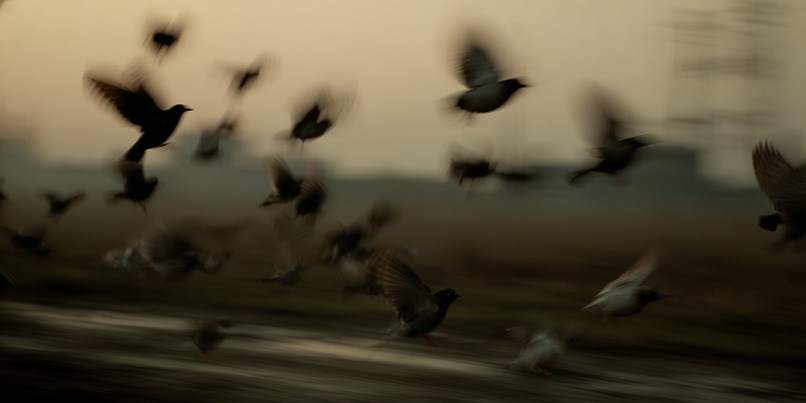 Messenger, homeward – screenshot 2