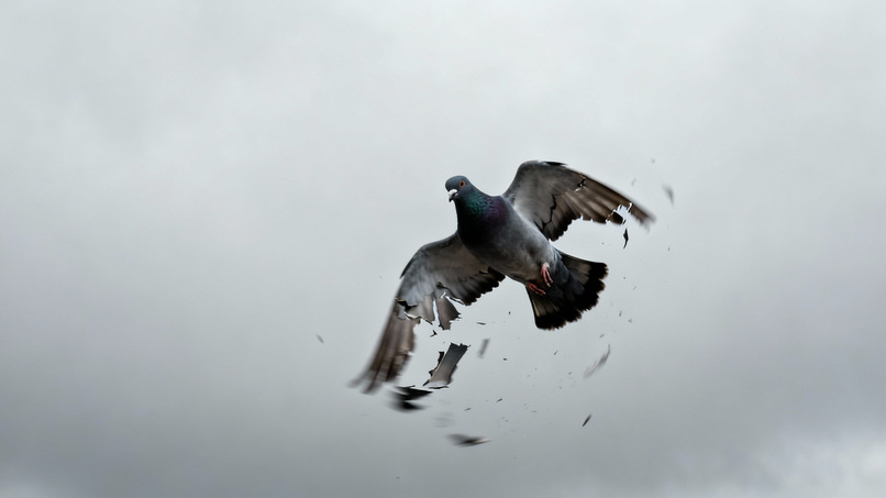 Messenger, homeward – screenshot 9