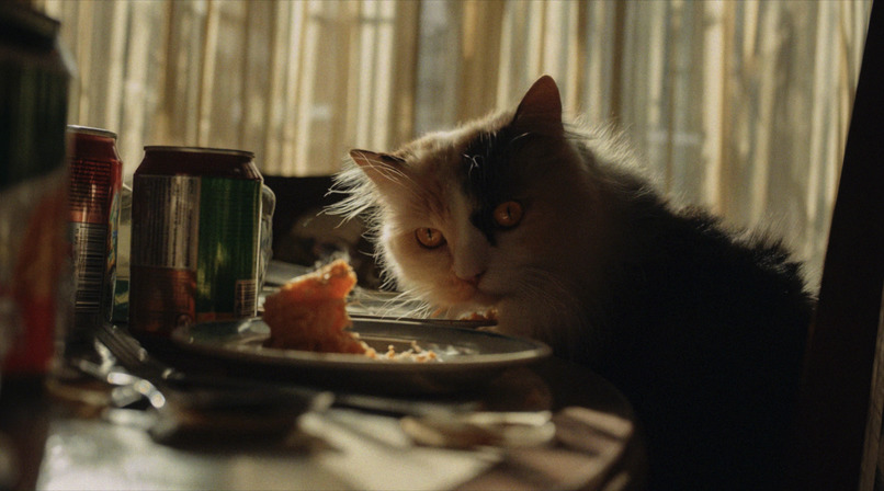 The Decisive Moment: Midnight Drop – screenshot 4