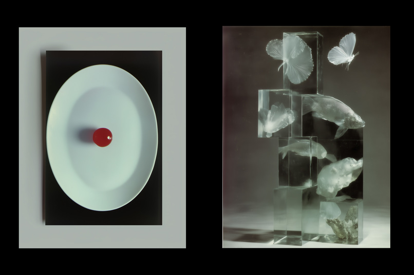 Zen-Spiral of Silent Echoes – screenshot 4