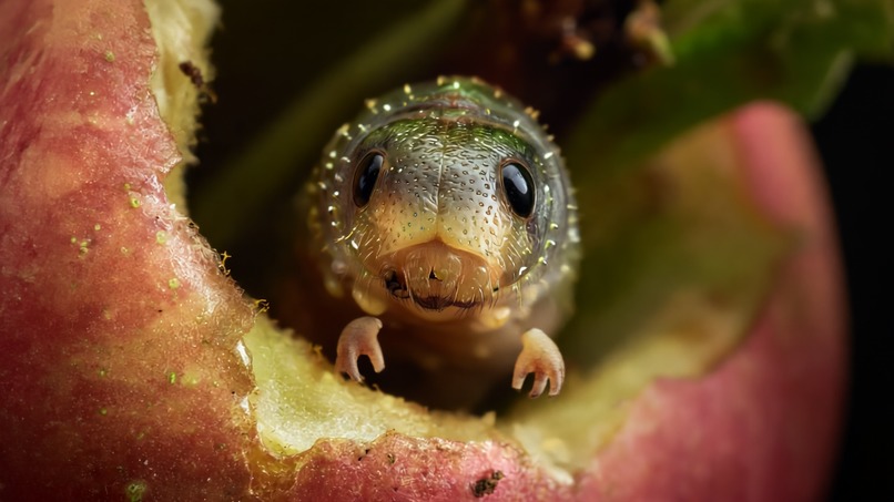 Moon Book – screenshot 4