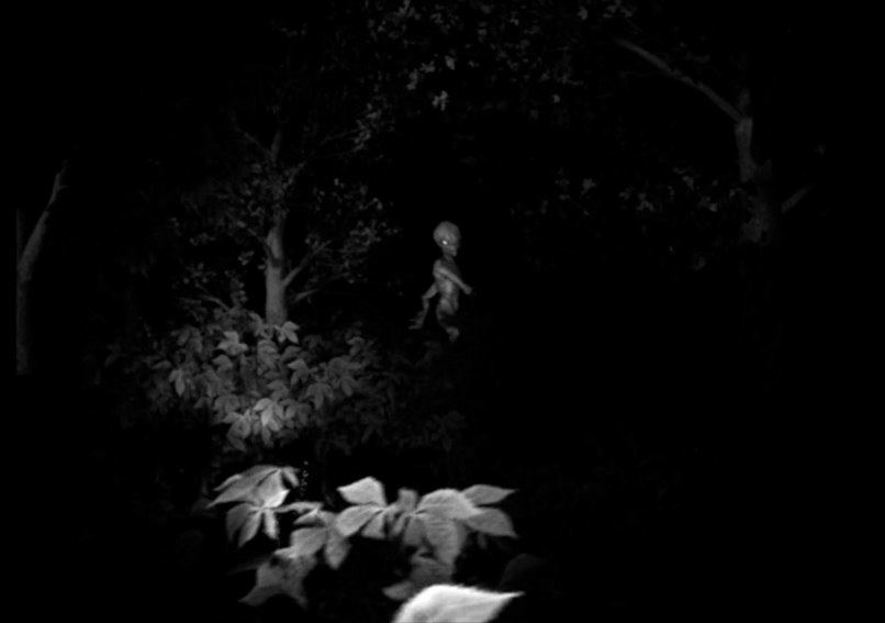 Alien Interview: Reel 1 – screenshot 8