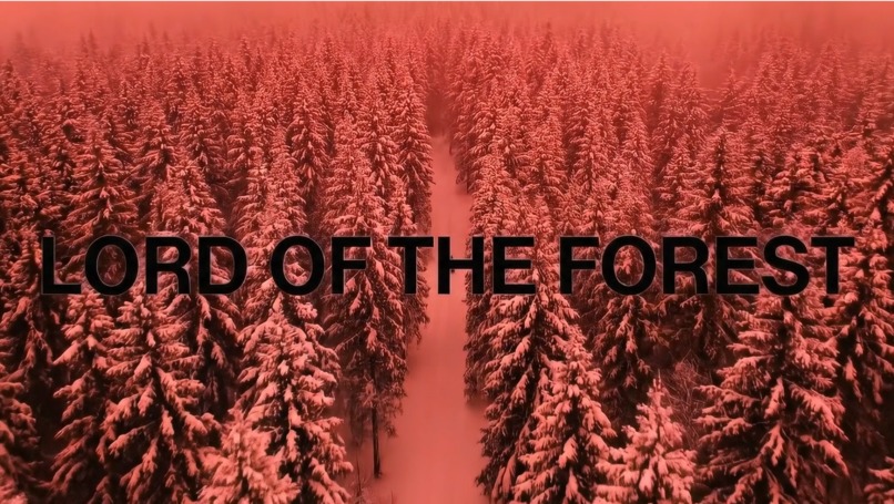 Lord of the Forest – screenshot 1
