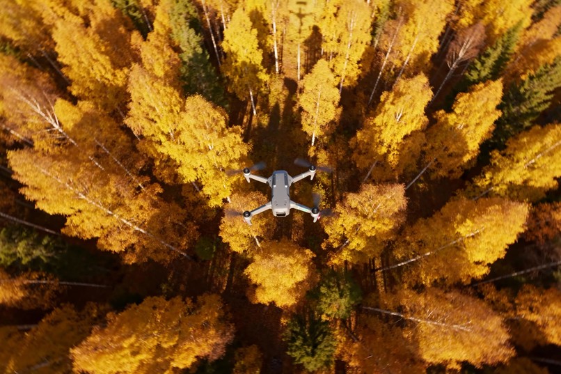 Spark Your Future – screenshot 1