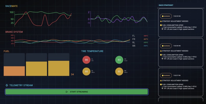 RaceMate – screenshot 2