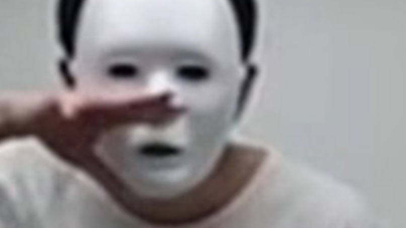 Opossum in a Field of Roses – screenshot 1