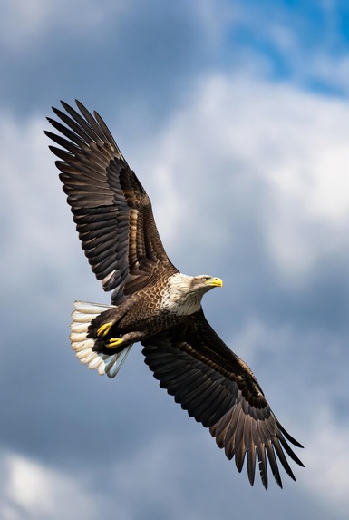 Eagle Vision: A Story of Identity and Rebirth – screenshot 1