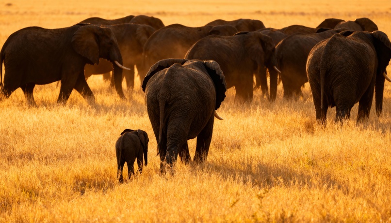 The Last Path – screenshot 3