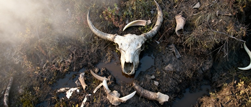 The Harbingers – screenshot 3