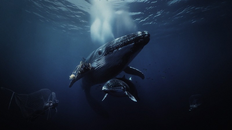 Spec Campaign for Ocean Cleanup – screenshot 1