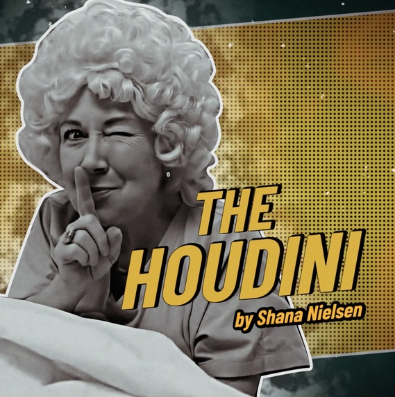 THE HOUDINI – screenshot 2