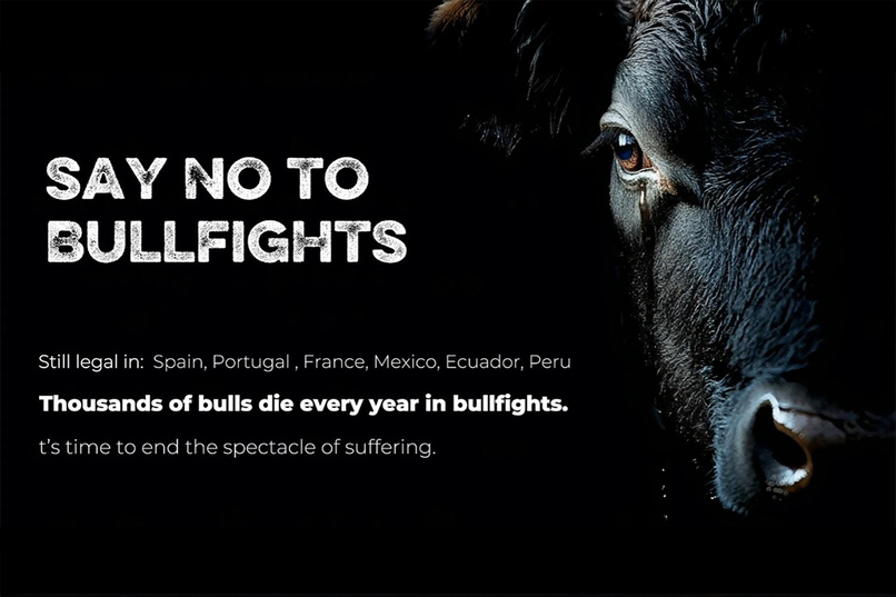 EYE OF THE BULL – screenshot 1