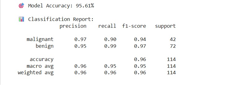  AI-Based Breast Cancer Detection System – screenshot 3