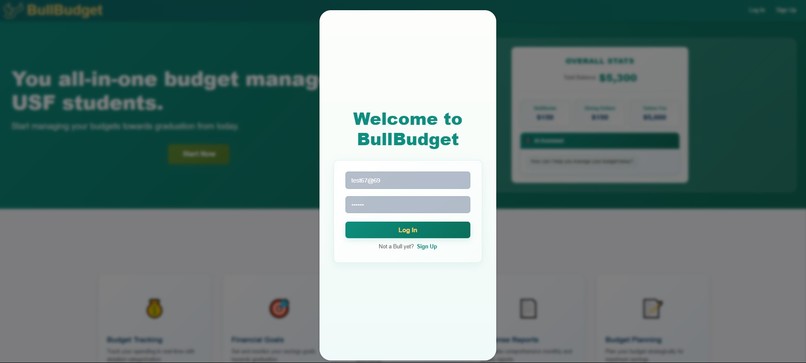 BullBudget – screenshot 2