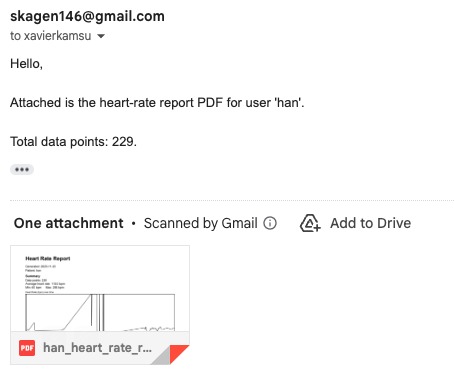 HuaweiAI – screenshot 4