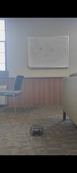 Bird's I – screenshot 2