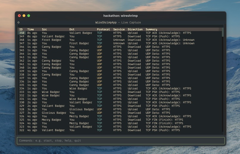 WireShrimp – screenshot 2