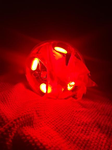 Eco-Alert Torch STEM-Based Wildlife Safety Solution – screenshot 3