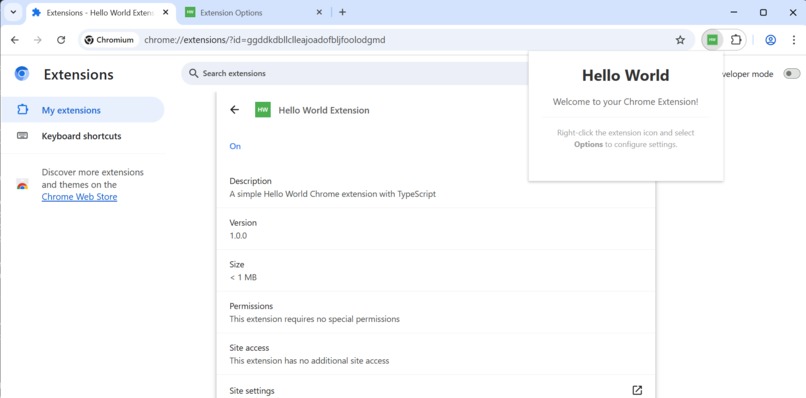CAPS Chromium AI Plugin Skeleton – screenshot 3