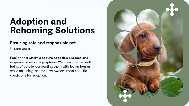 PetConnect – screenshot 5