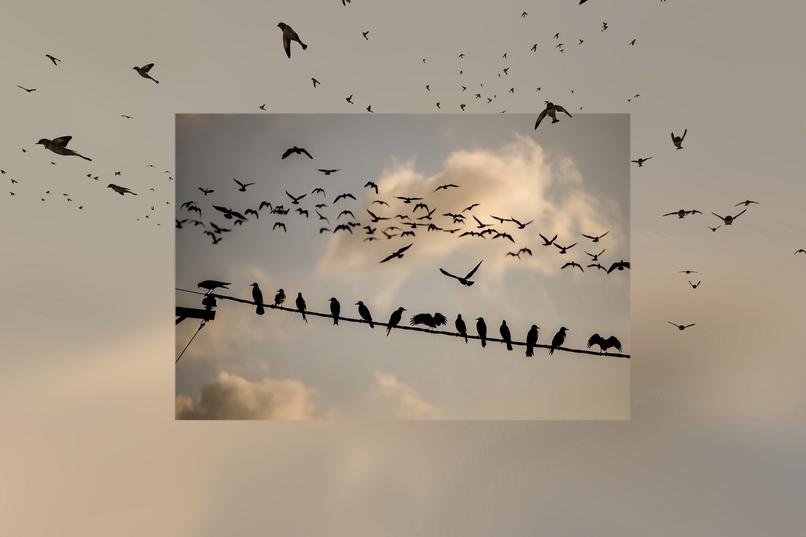 Scriptable Immersive Movie SFX / Environments – screenshot 5