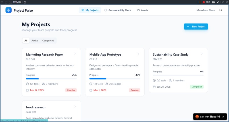 Project Pulse – screenshot 1