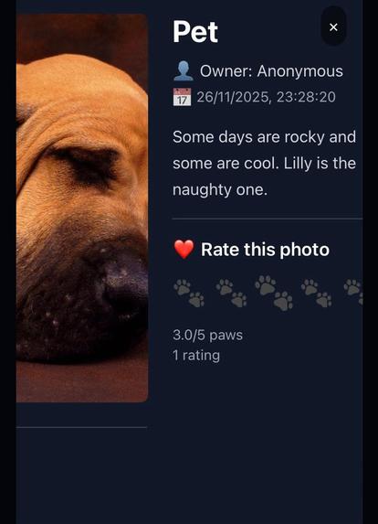 Pet World – screenshot 9