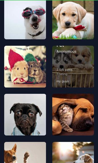 Pet World – screenshot 10