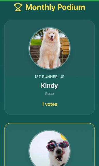 Pet World – screenshot 12