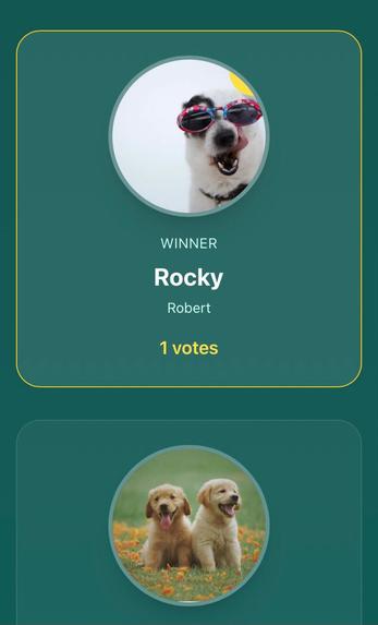 Pet World – screenshot 13