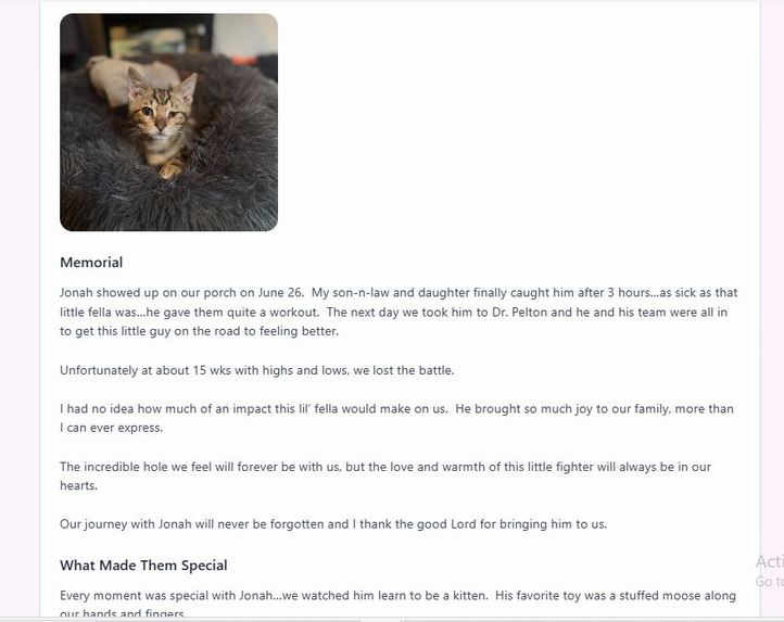 Pet World – screenshot 14