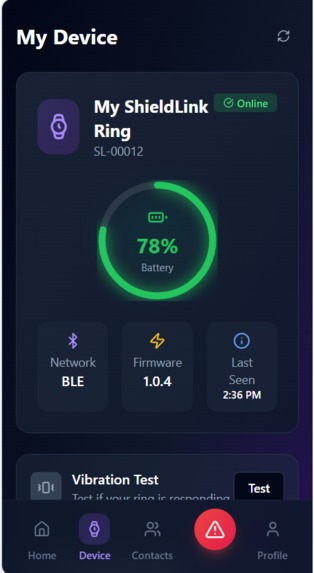 shield_Link – screenshot 6