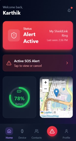 shield_Link – screenshot 4